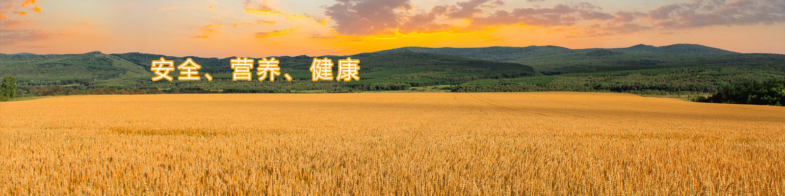 亚星游戏·222(中国区)官方网站