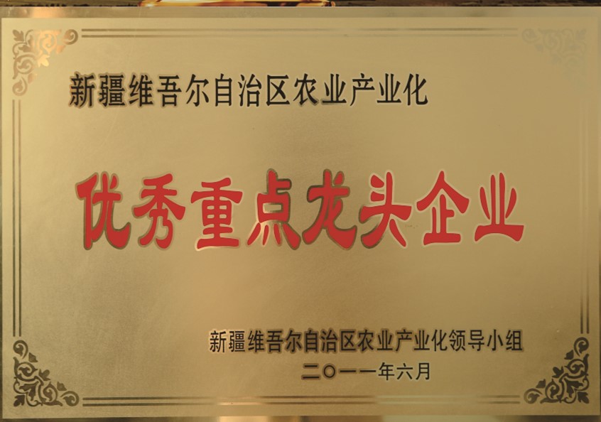 自治区农业工业化优异重点龙头企业