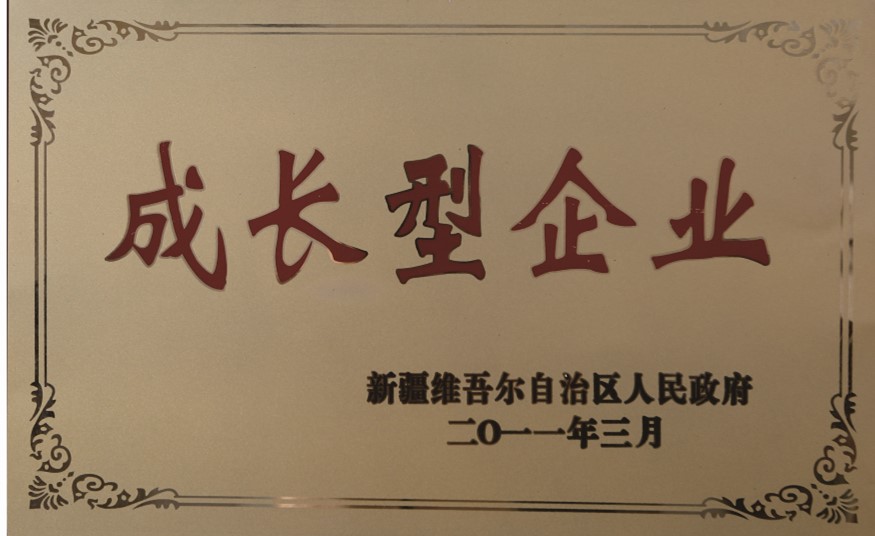 生长型企业