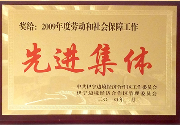 先进整体