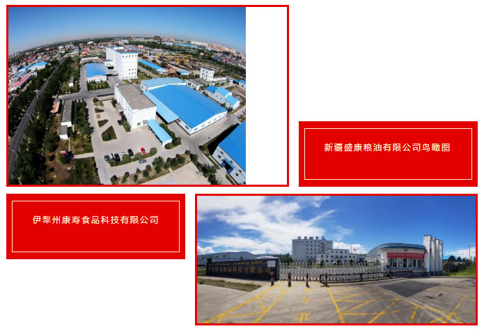 亚星游戏·222(中国区)官方网站